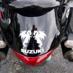 Double Dragon Busa