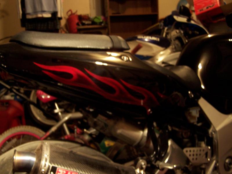 06blkbusa 067.jpg