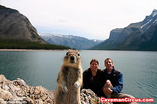 10_greatest_animal_photobombs_of_all_time_9.jpg