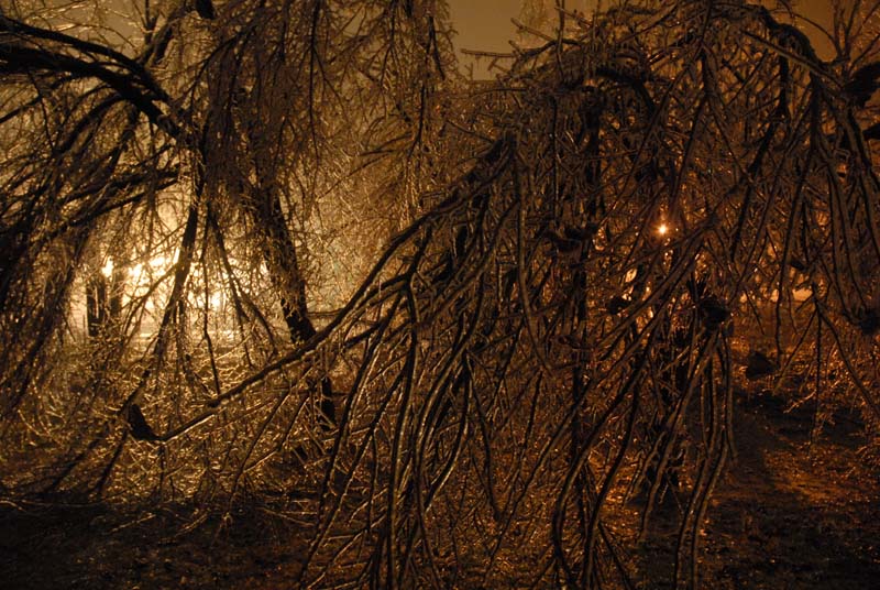 2007_ice_storm_077_sized.jpg