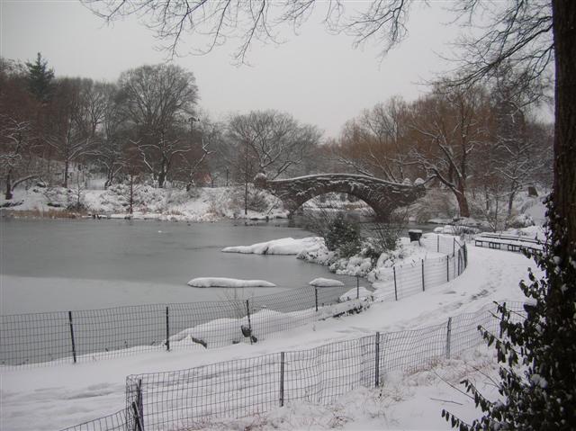 2009Winter NewYork 010 (Small).jpg