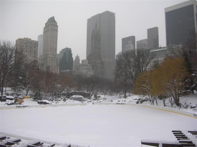 2009Winter NewYork 020 (Small).jpg