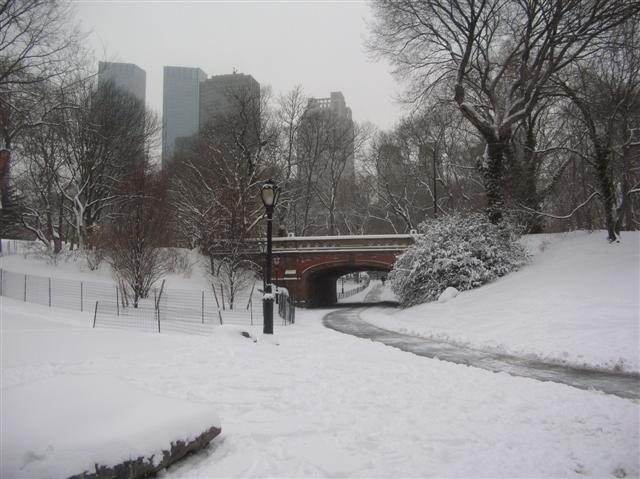2009Winter NewYork 021 (Small).jpg