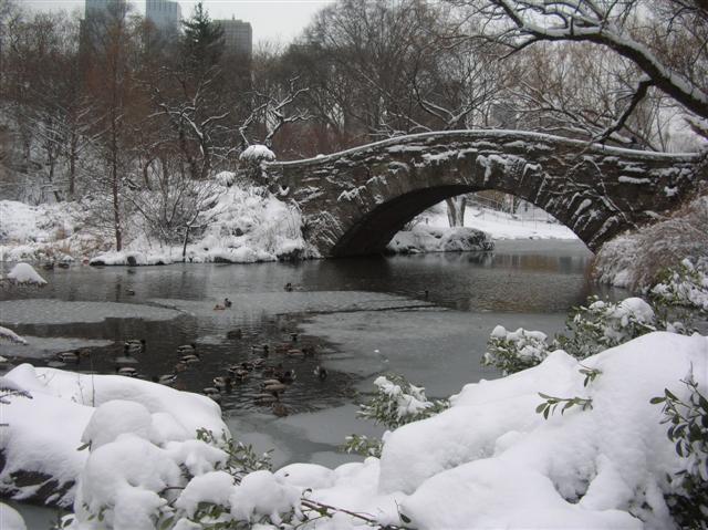 2009Winter NewYork 035 (Small).jpg