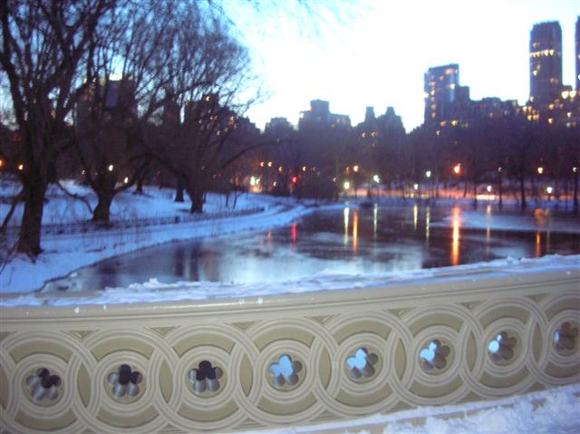 2009Winter NewYork 046 (Small).jpg