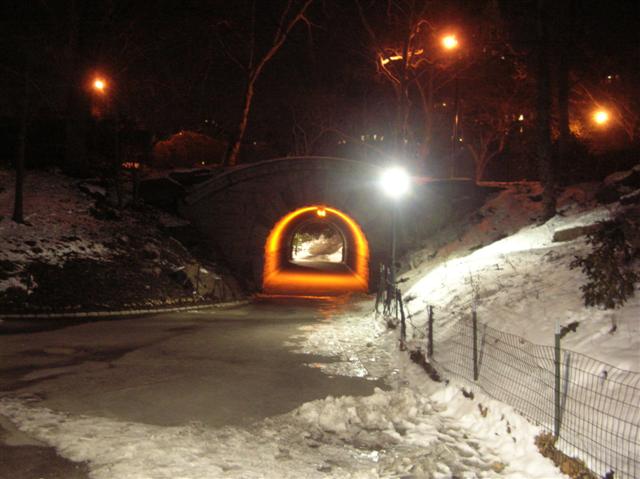 2009Winter NewYork 055 (Small).jpg