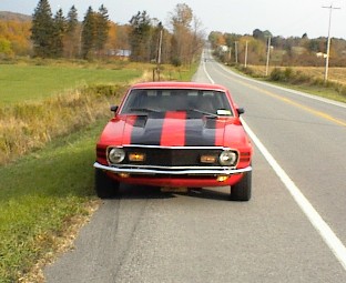 3 stang side of the road.jpg