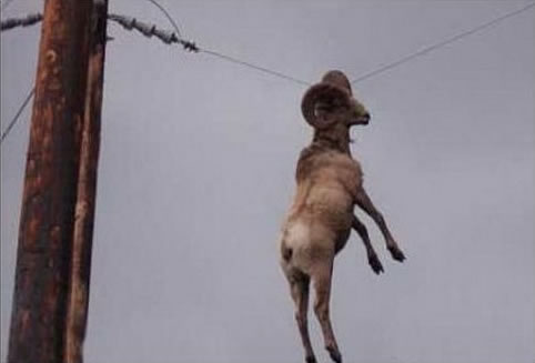 37 How The F Did This Happen.jpg