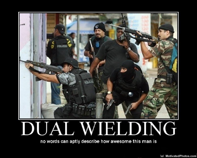 633618011146914582-DualWielding.jpg