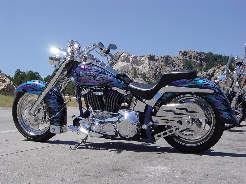 99_SIMMS_Softail.JPG