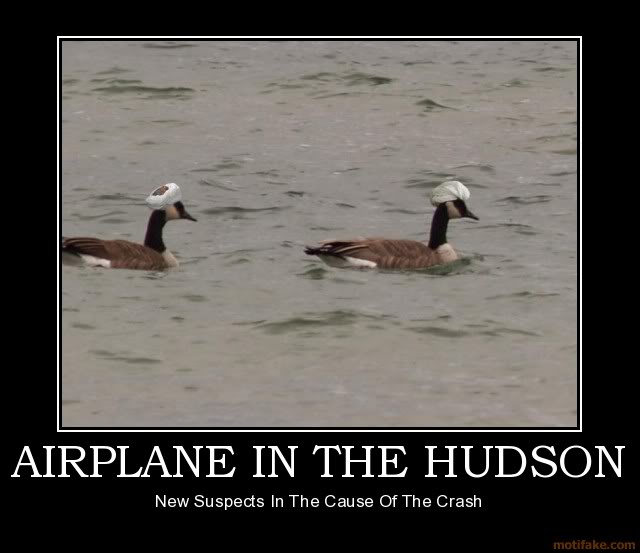 airplane-in-the-hudson-demotivation.jpg