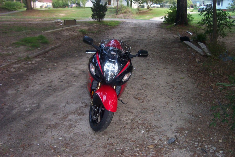 allens_busa_2.jpg