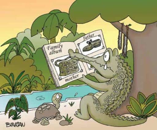 alligatorfam.jpg