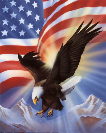 american-eagle-and-flag-ii.jpg