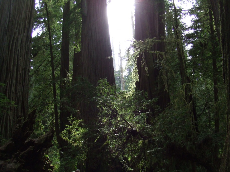 april_08_oregon_43__2_.jpg