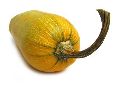 article-new_ehow_images_a07_jf_sd_pick-yellow-squash-800x800.jpg