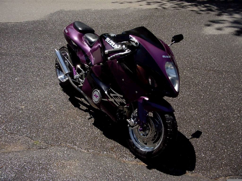 baby_busa2.jpg