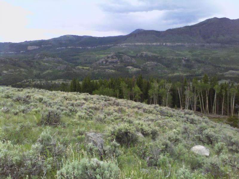 beartooth pass 031.jpg