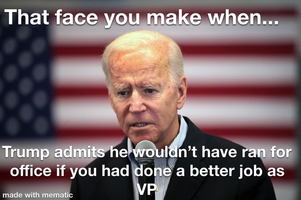 Biden Face better VP job.jpg