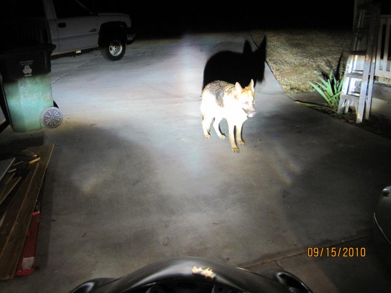 bike lighting and electrical 09-15-10 009.jpg