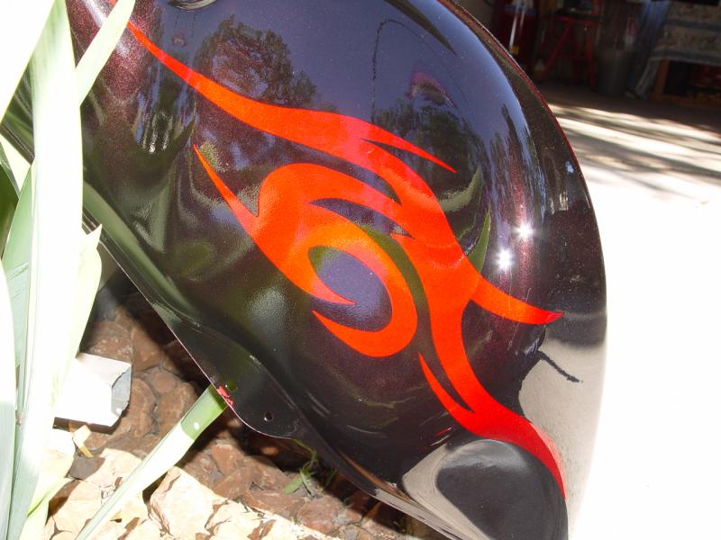 bike tank finish 05-04-10 008.jpg