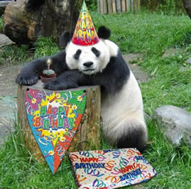 birthdaypanda.jpg