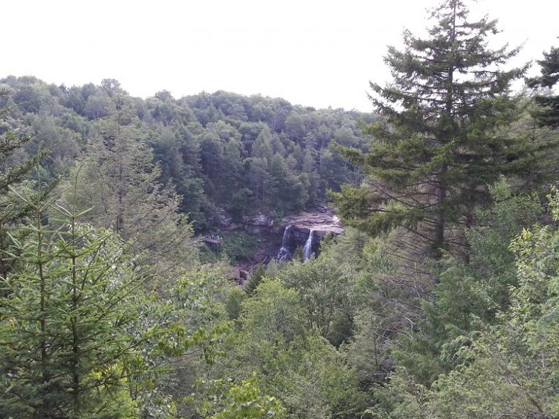 Blackwater Falls from afar.jpg