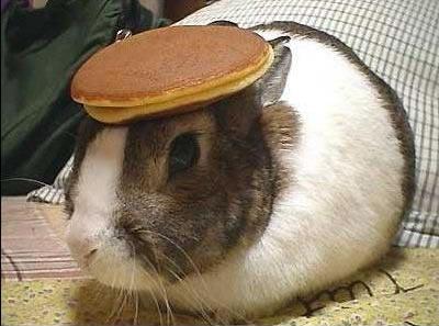 bunnypancake.jpg