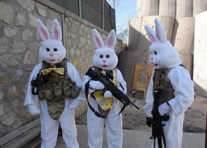 bunys with guns.jpg