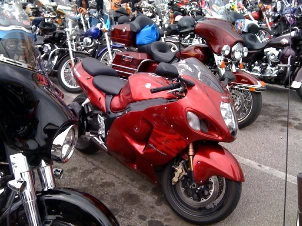 busa.jpg