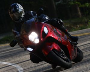 busa.jpg