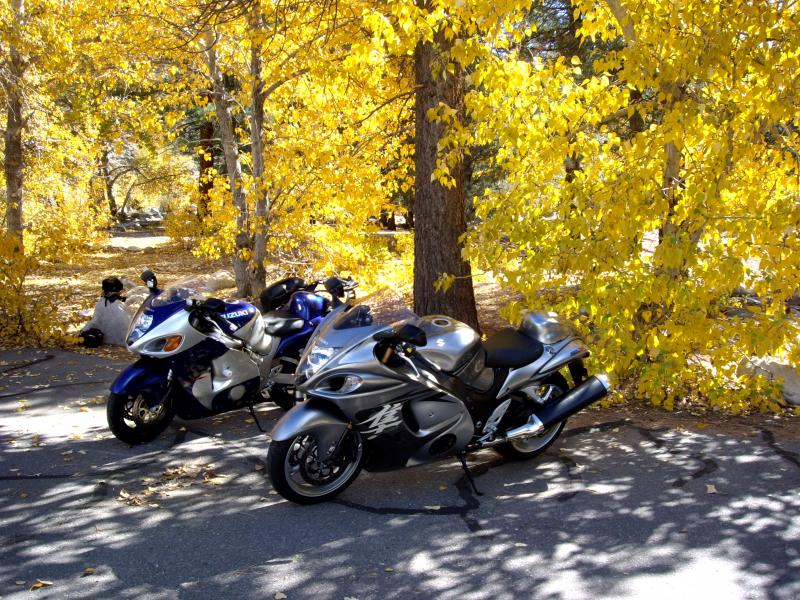 Busa ride Oct 24th 001.jpg