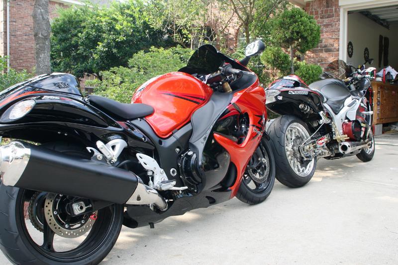 Busa Stable Mates 05.jpg