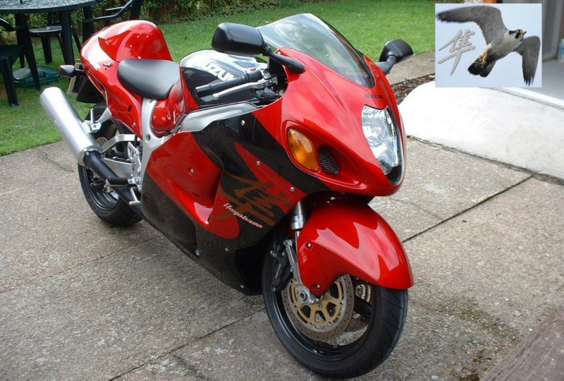 busa13.jpg