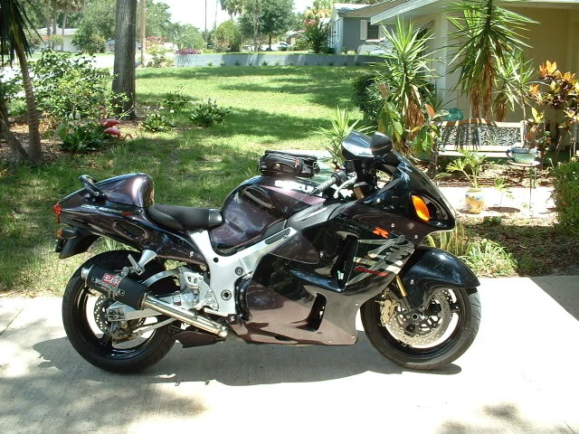 busa2.jpg