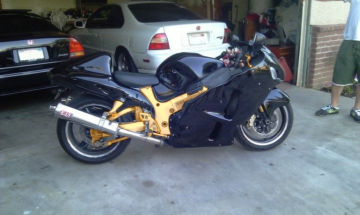 busa3.jpg