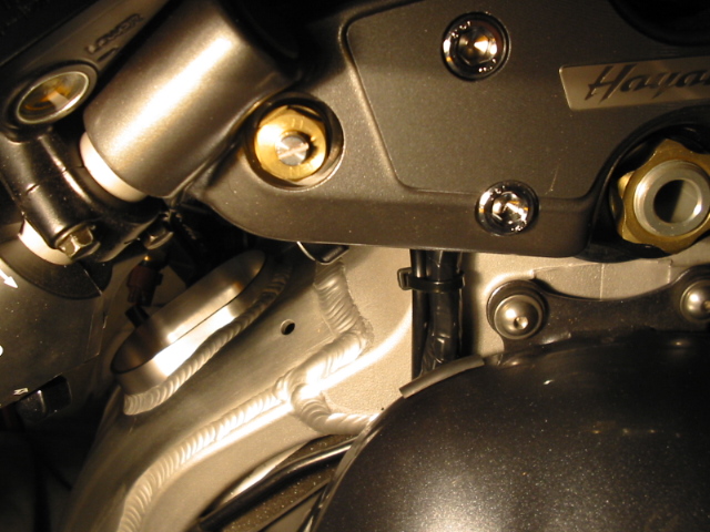 busa_013.jpg