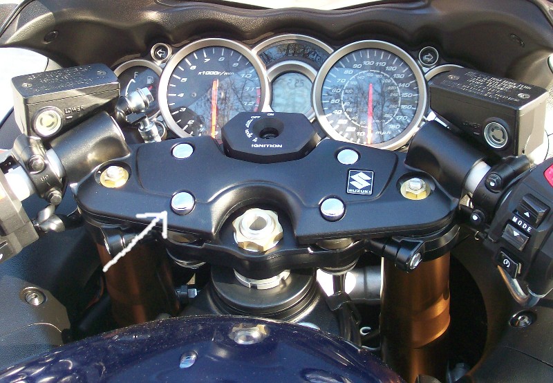 Busa_1.20.08_024.jpg