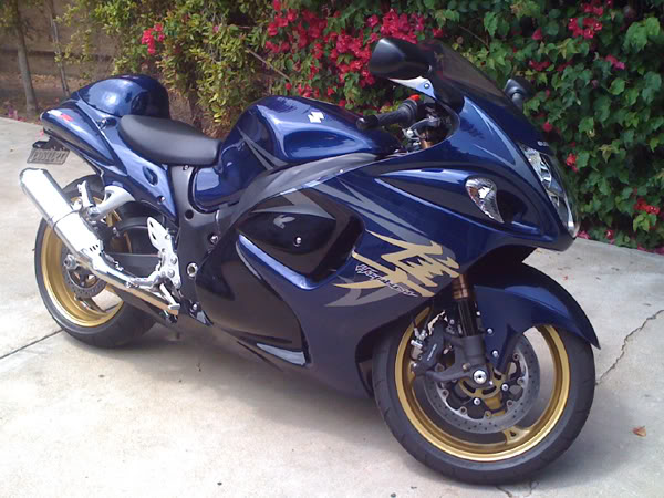 busa_front600.jpg