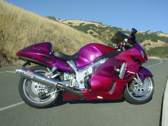 Busa_pic_4.jpg