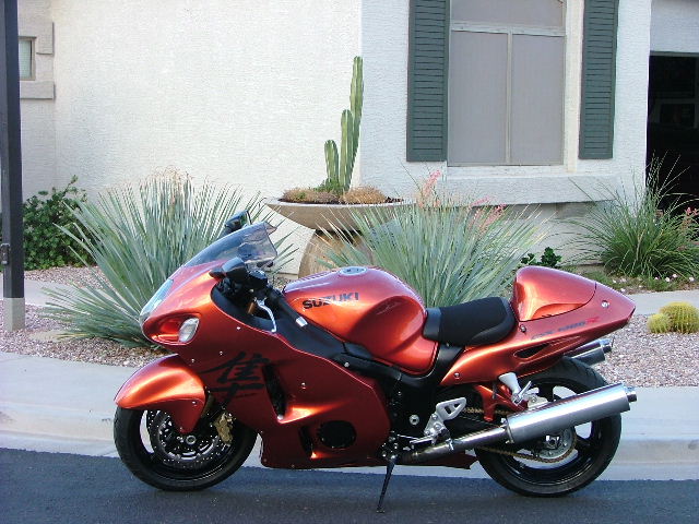 Busa_Pictures_001.jpg