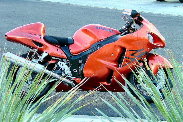 Busa_Pictures_003.jpg
