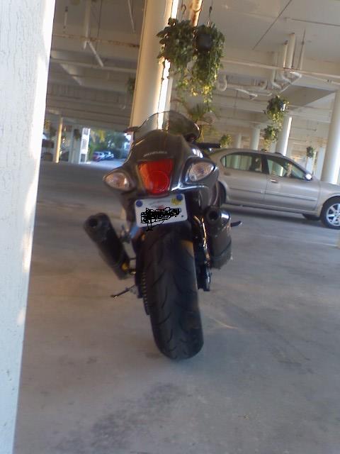 Busa_rear_no_plate__.JPG