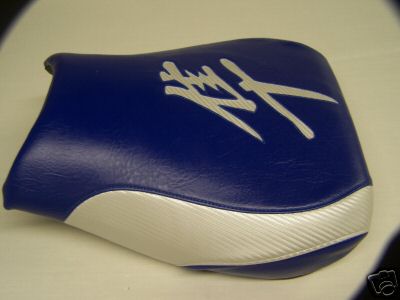 busa_seat_cover_2.JPG