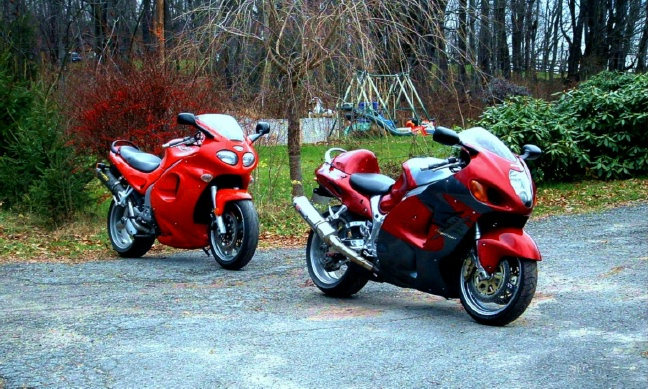 busa_triumph_17_revised_2.jpg