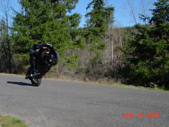 BusaWheelie05.jpg