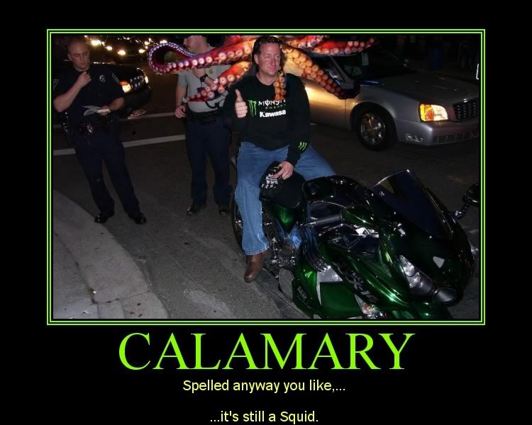 Calamary.jpg