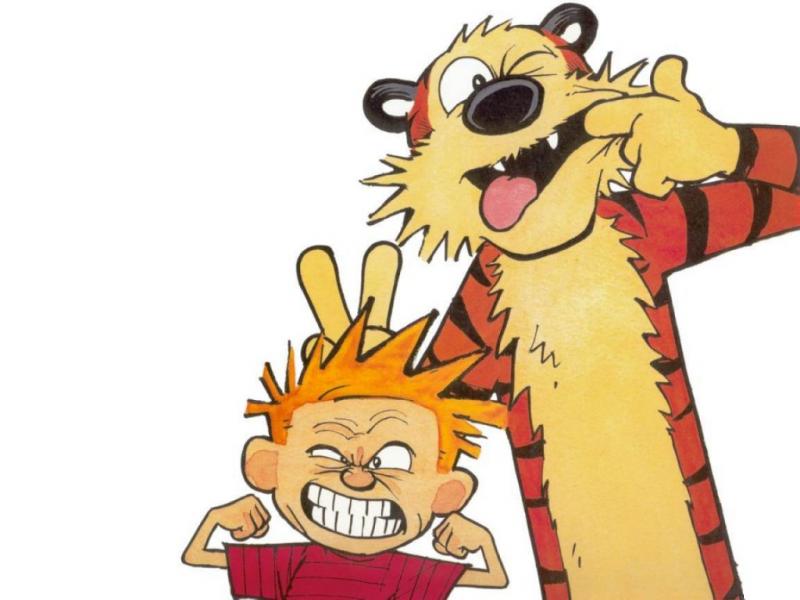 calvin-and-hobbes.jpg