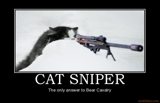 cat-sniper-demotivational-poster-12.jpg