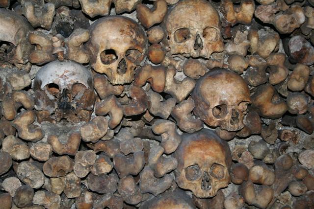 Catacombs_of_Paris_03 (Small).jpg